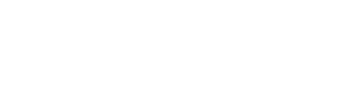 BIZUBOOM